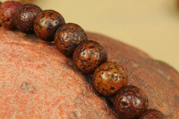 什么是星月菩提？原生態(tài)藏傳爆老星月菩提