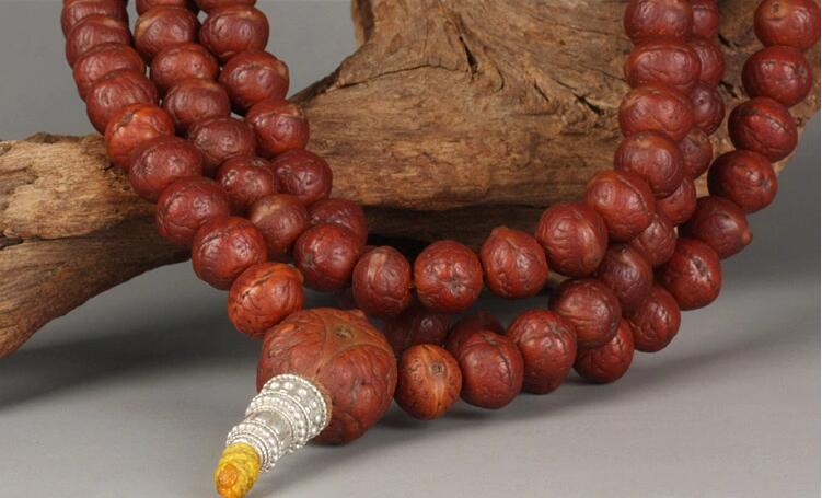 矮樁金眼爆紅小鳳眼菩提怎么盤？