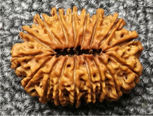 大金剛菩提子幾瓣的好？十七瓣金剛菩提子寓意