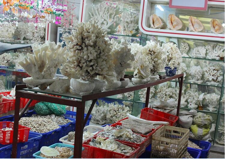 精美的珊瑚藝術(shù)品--千年珊瑚萬年紅(七)