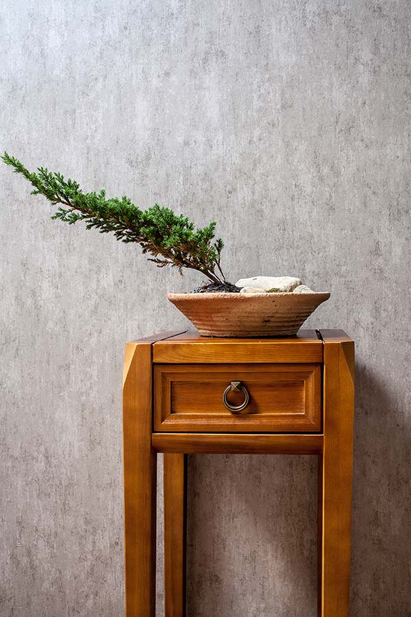 新中式裝修設(shè)計，裝修設(shè)計會舍圖(六)