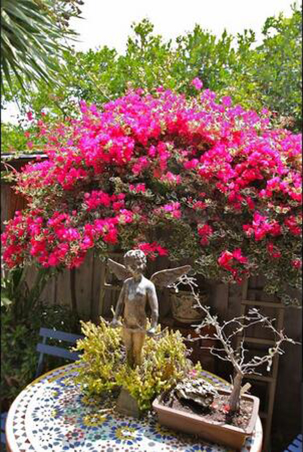 麥克的小屋，美國民宿