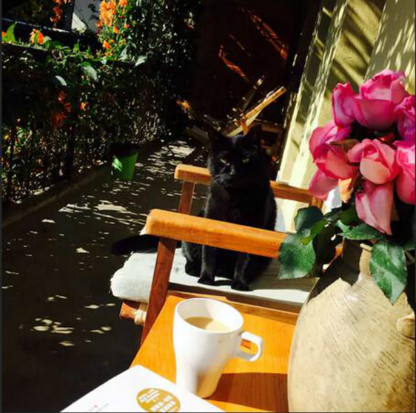 蒼山腳下的民宿，古城內(nèi)貓三家清靜四合小院民