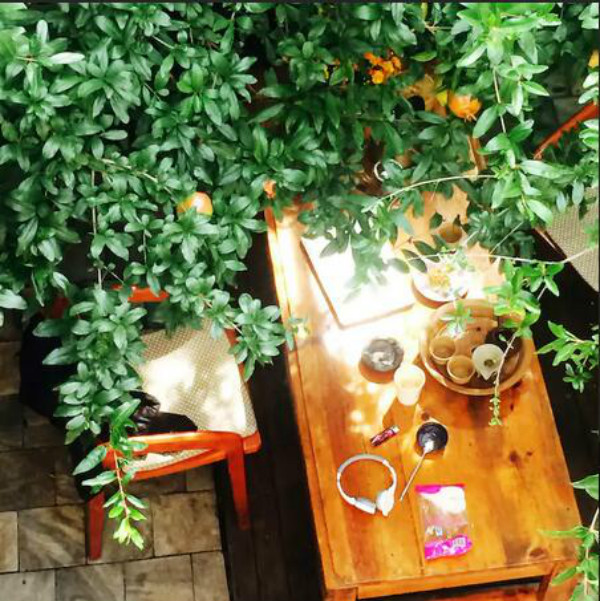 蒼山腳下的民宿，古城內(nèi)貓三家清靜四合小院民