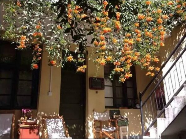 蒼山腳下的民宿，古城內(nèi)貓三家清靜四合小院民