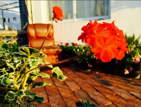 打呼嚕寓所，大理古城里的民宿