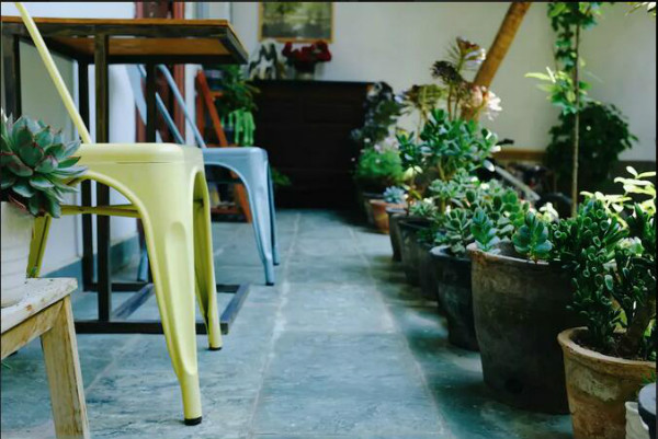 打呼嚕寓所，大理古城里的民宿