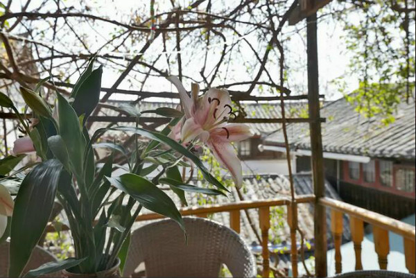 麗江古城民宿，鬧中取靜的理想住處