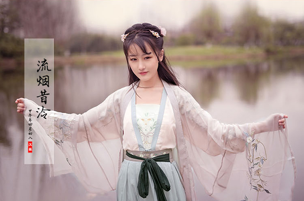 漢服 刺繡齊腰襦裙大袖衫