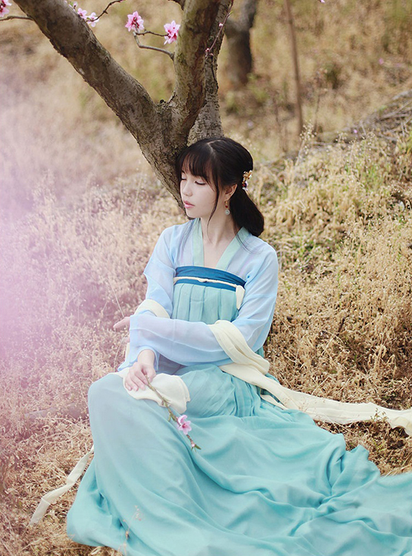 漢服 大唐齊胸襦裙