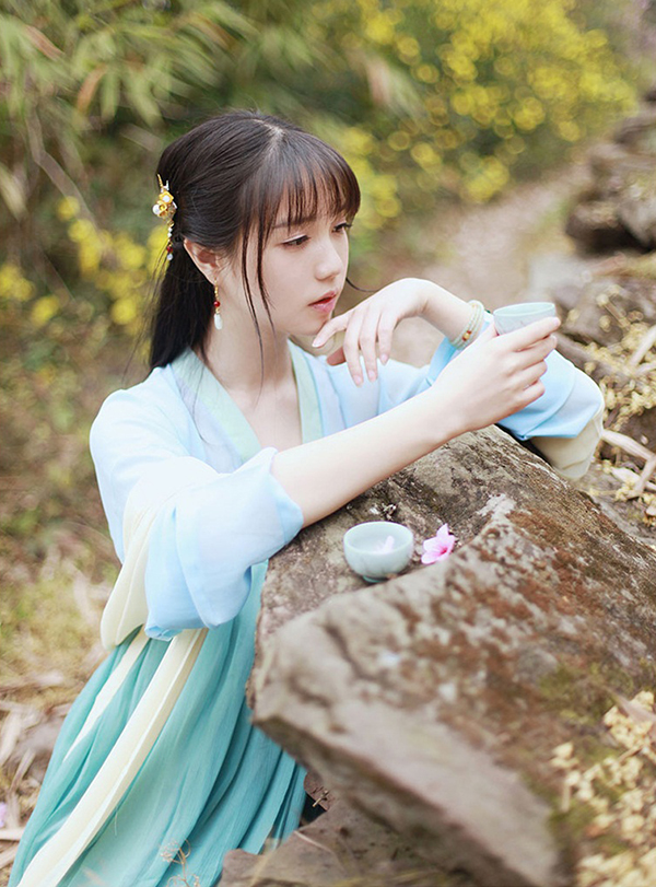 漢服 大唐齊胸襦裙