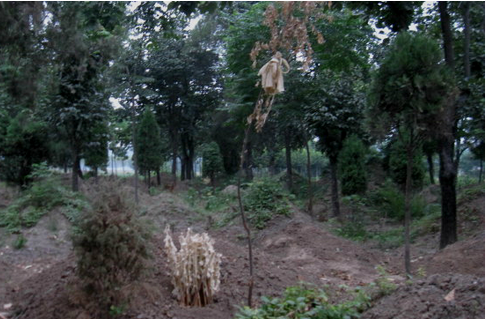 農(nóng)村下葬要注意哪些問題？農(nóng)村下葬的風水講究