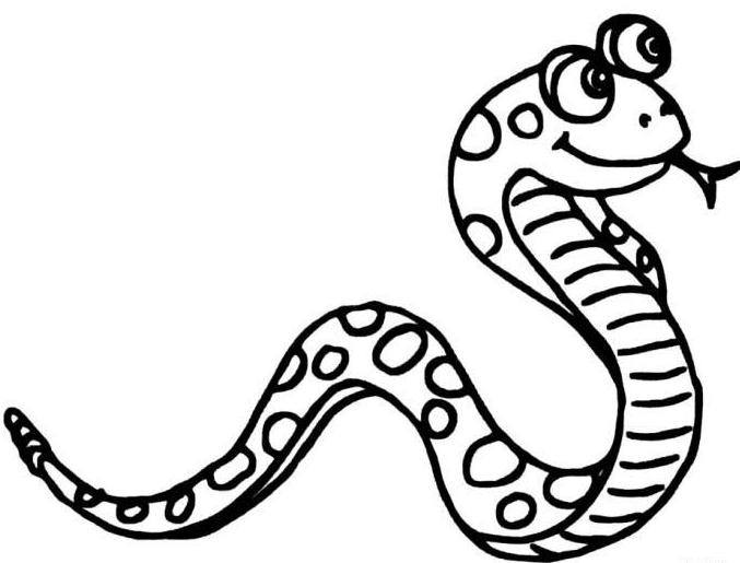 屬蛇的人的床頭朝向風(fēng)水是怎樣的？