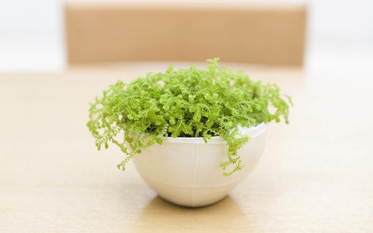 走上人生巔峰，只需掌握這四種顏色方向