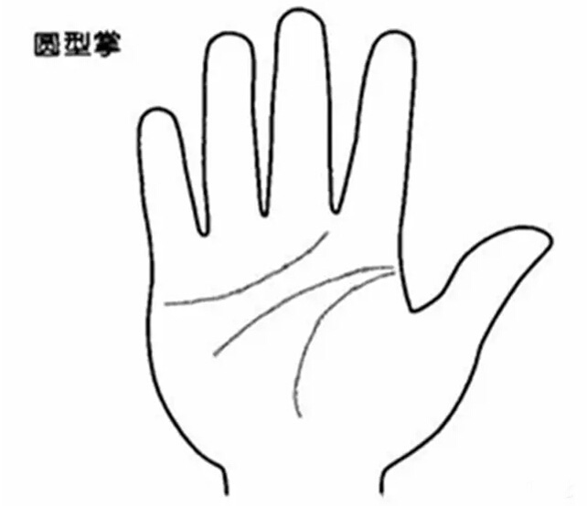 四種不同手掌外形，看出你的不同性格