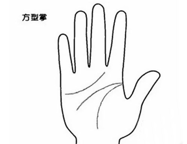 四種不同手掌外形，看出你的不同性格