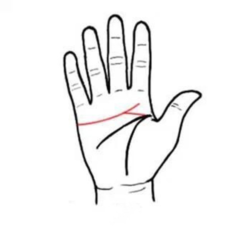 四種不同手掌外形，看出你的不同性格