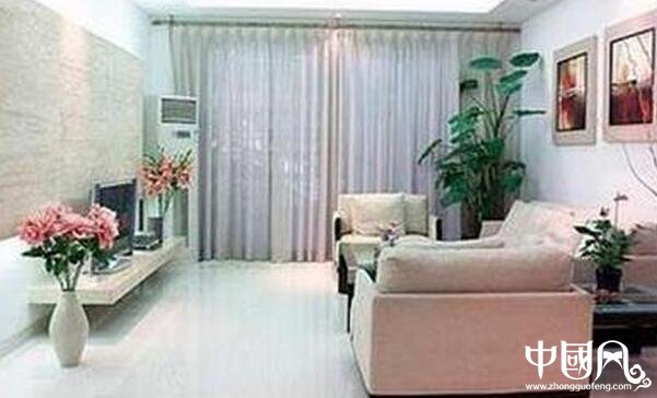 家中種植什么植物風水好