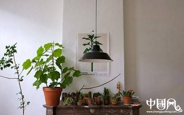 有助于父母健康長壽的風水