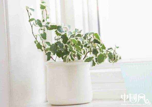 居家實用的風水常識