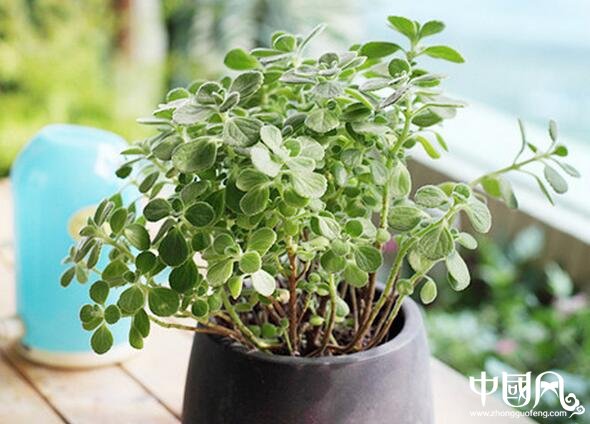 家居破財?shù)娘L水是如何