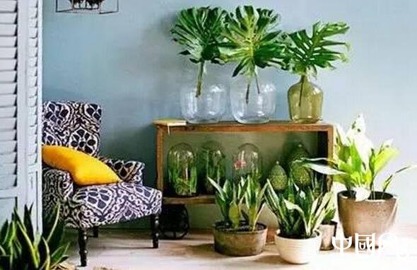 庭院中的花園風(fēng)水有何說(shuō)法