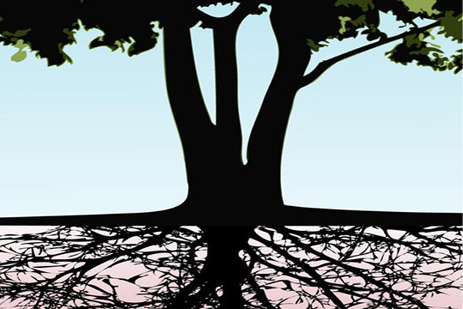 想要知道你的婚姻根基在哪里？快來學(xué)習(xí)風(fēng)水學(xué)