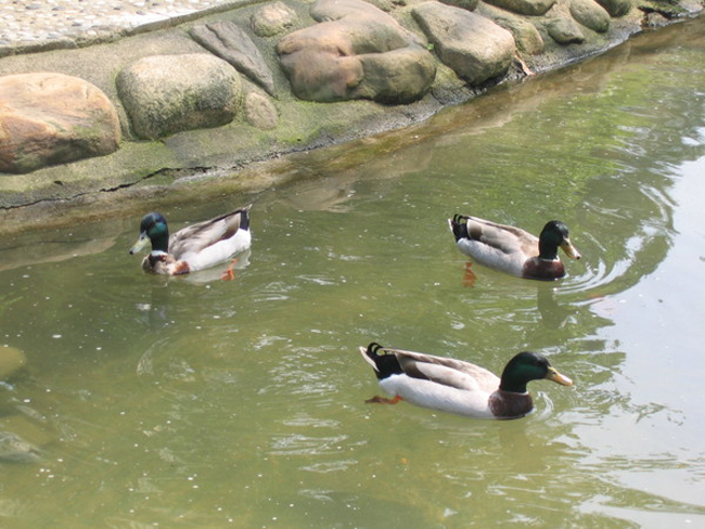 你知道嗎？這些風水暗示你會變小三