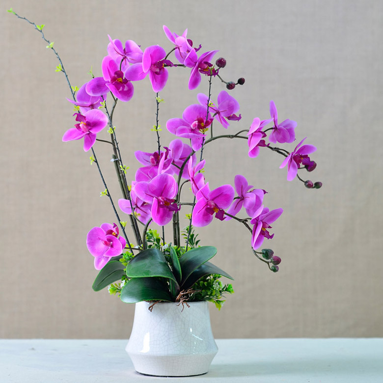 假花也會(huì)影響你的感情？？？