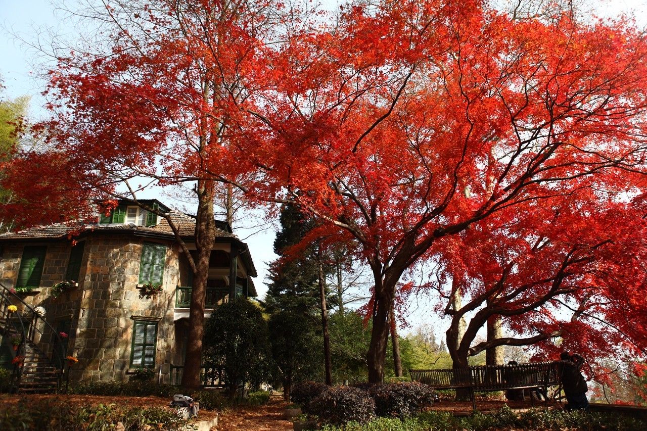忘山別墅莫干山民宿，一棟百年歷史的民國別墅