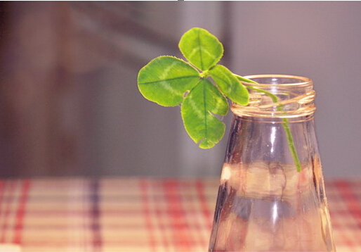 學(xué)習(xí)風(fēng)水學(xué)，生活風(fēng)水禁忌大全送給你