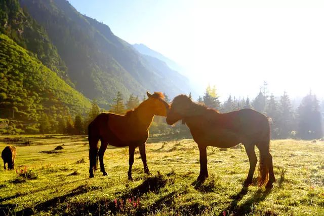 光和云朵·雪寶頂，喂馬劈柴看盡四季繁華