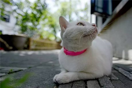 小日子生活館，選一本書過自己的生活方式