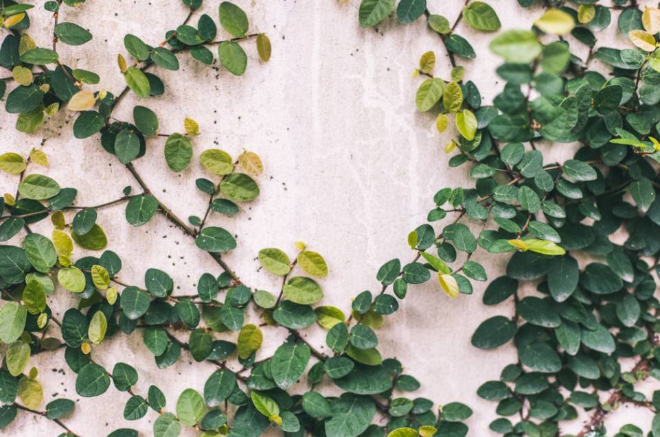 杭州·棲遲，還是那個獨一無二的黑白灰