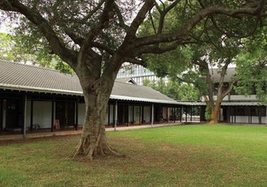 庭院植樹的幾大禁忌，你知道嗎？