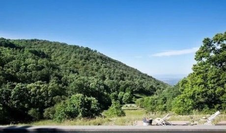 驚呆了，雞窩豬舍馬廄牛棚羊圈變民宿!