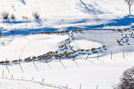 承德·衍居院上野奢度假，策馬奔騰活得瀟瀟灑灑