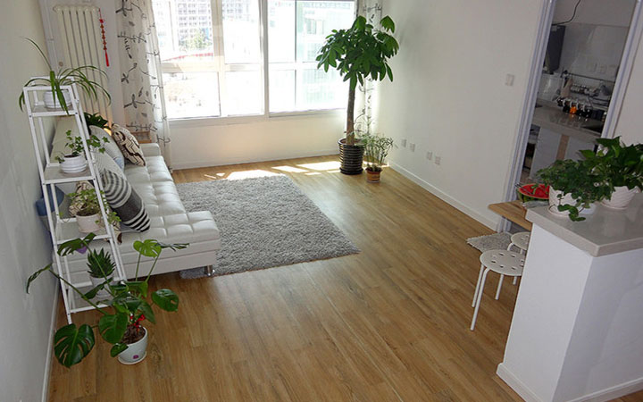 學(xué)習(xí)風(fēng)水學(xué)，客廳擺放植物風(fēng)水禁忌全get！