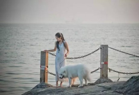 悠然別苑民宿設(shè)計，聽海風(fēng)的聲音