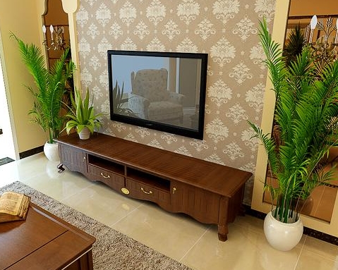 家中植物擺設(shè)風(fēng)水禁忌，你想知道嗎？