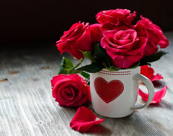 學(xué)會巧用愛情風(fēng)水學(xué)，擺脫單身不是夢