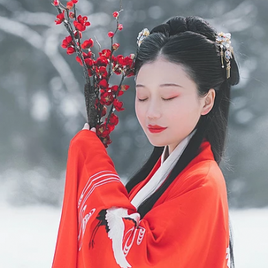 紅梅白雪彈琴女生頭像，唯美古風(fēng)真人頭像