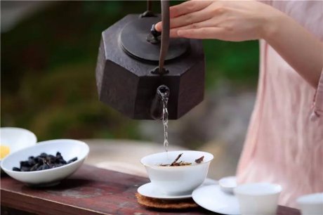 觀芷隱軒，以茶會(huì)友的民宿