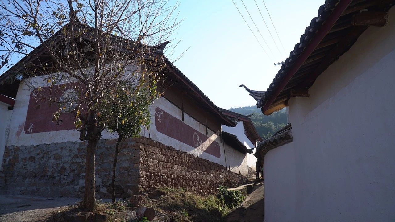 麗江·靈凈山舍，一花一木一世界！