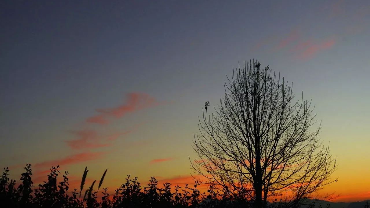安之若宿·山，建一小屋與你晨鐘暮鼓