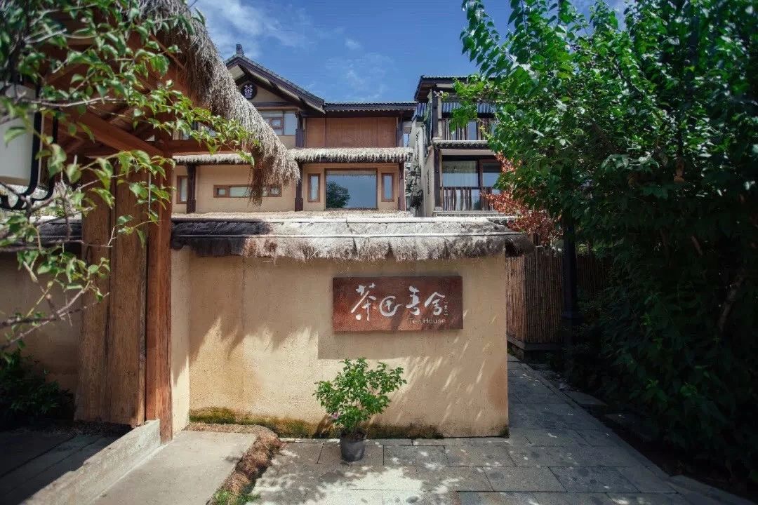 杭州·茶田秘境，有生之年盡情去折騰