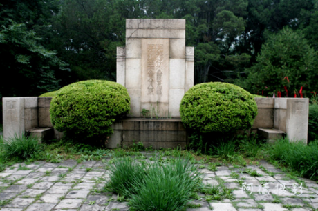 植物對(duì)墓地風(fēng)水有何影響？植物與風(fēng)水的聯(lián)系