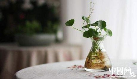 家居中聚財?shù)娘L水講究