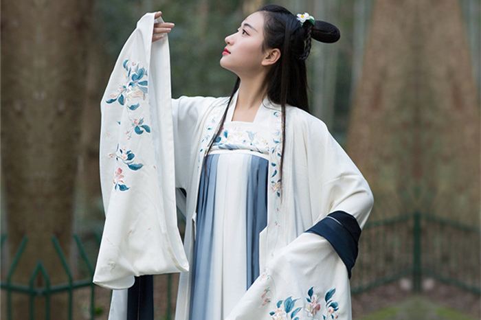 家佳樂文學(xué)傳統(tǒng)漢服女裝大袖衫繡花上衣