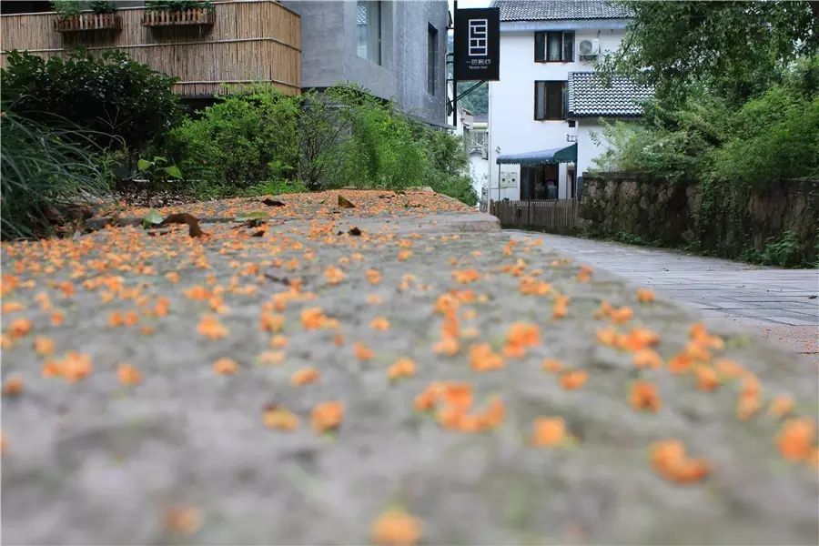 杭州·一色山墅，滿覺(jué)隴的月色喝茶散步都是雅事